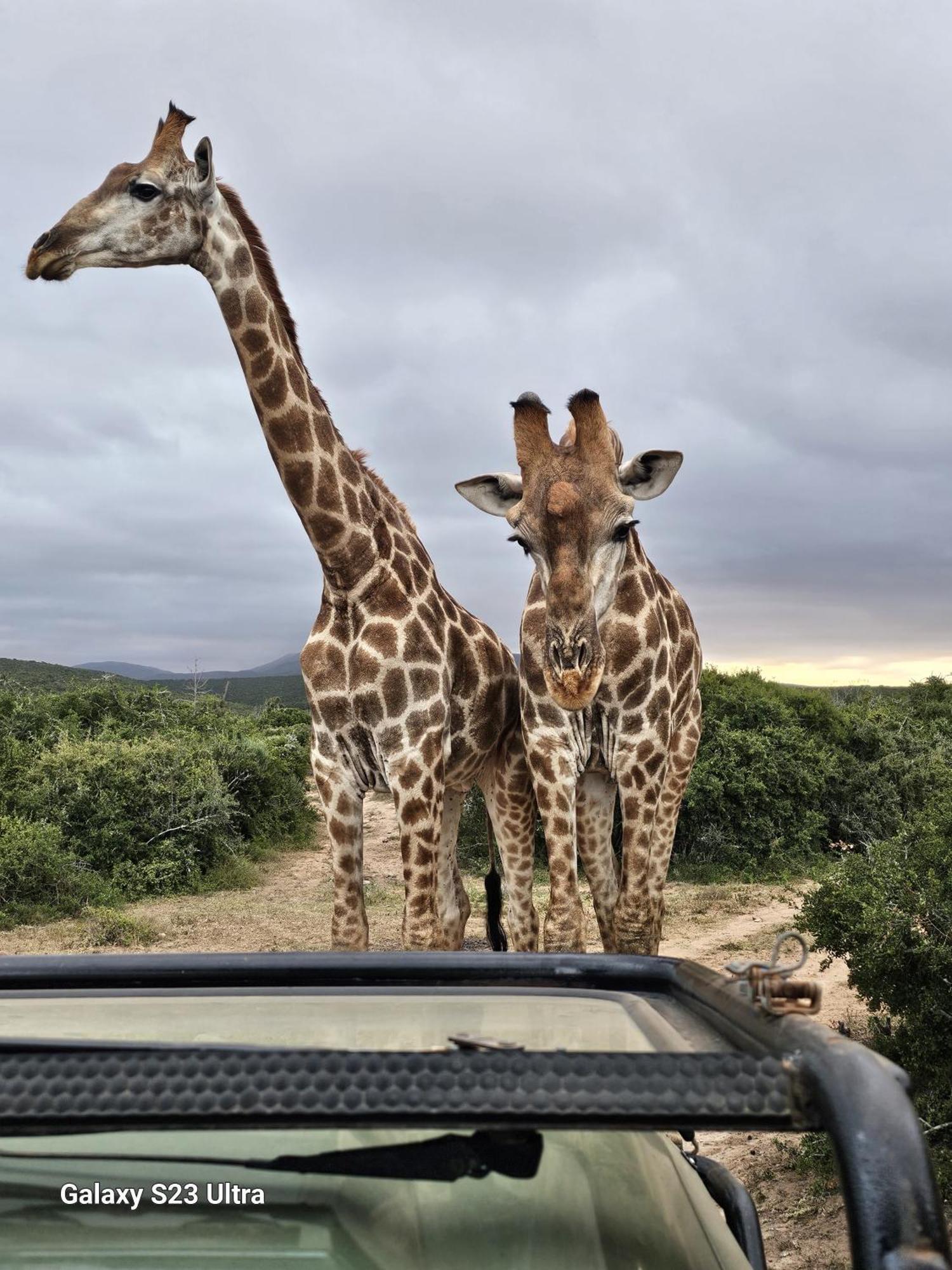 Valley Bushveld Country Lodge أدو المظهر الخارجي الصورة