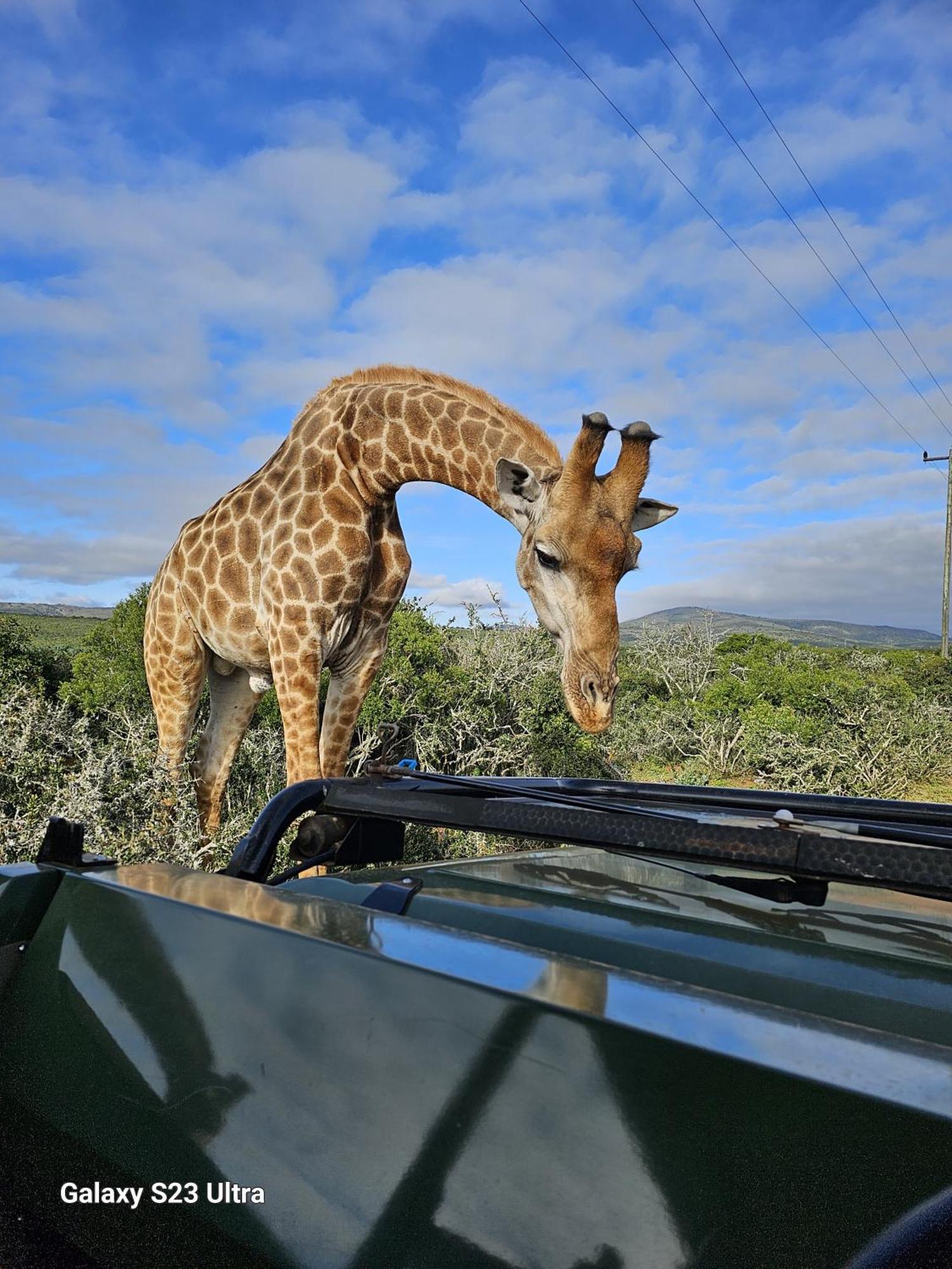 Valley Bushveld Country Lodge أدو المظهر الخارجي الصورة