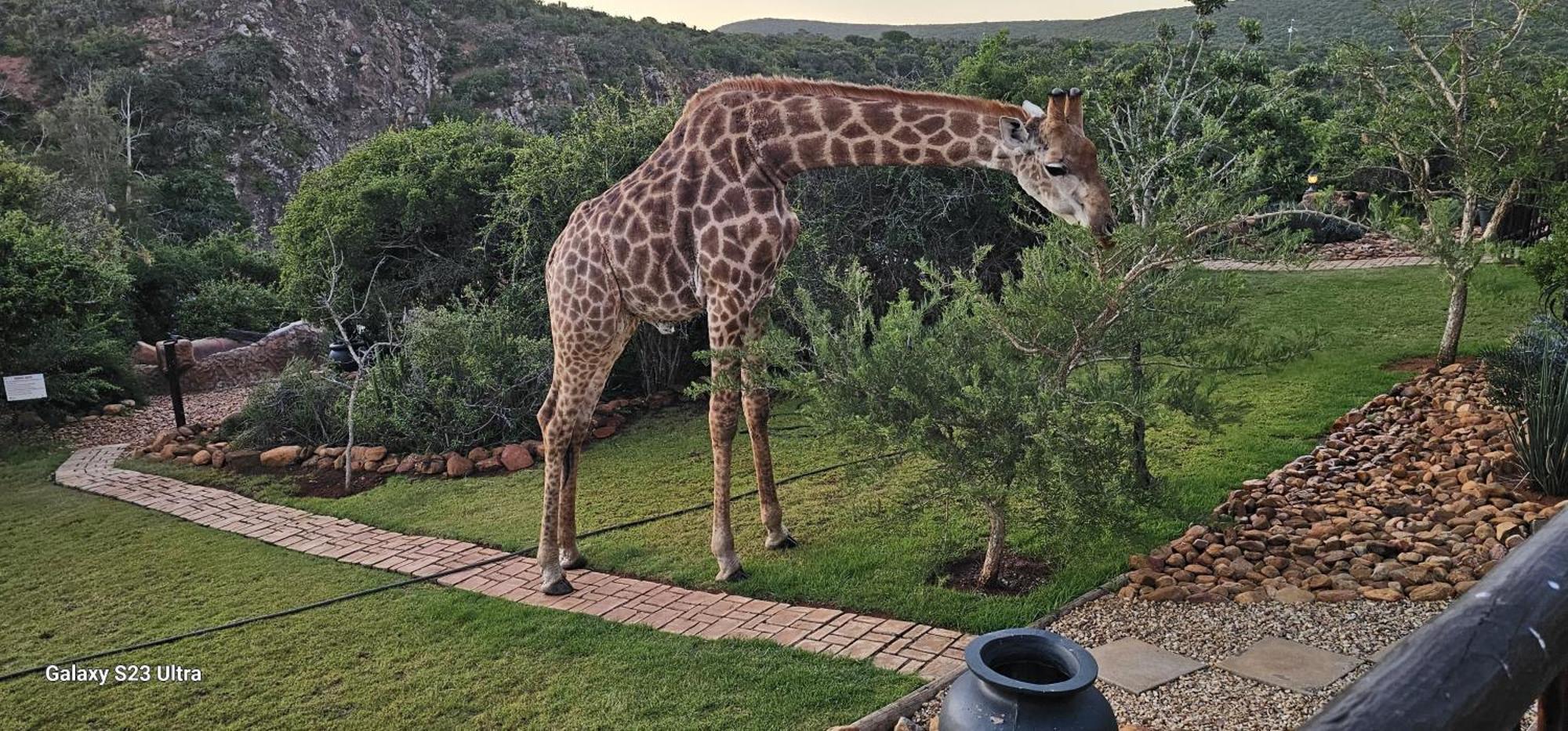 Valley Bushveld Country Lodge أدو المظهر الخارجي الصورة
