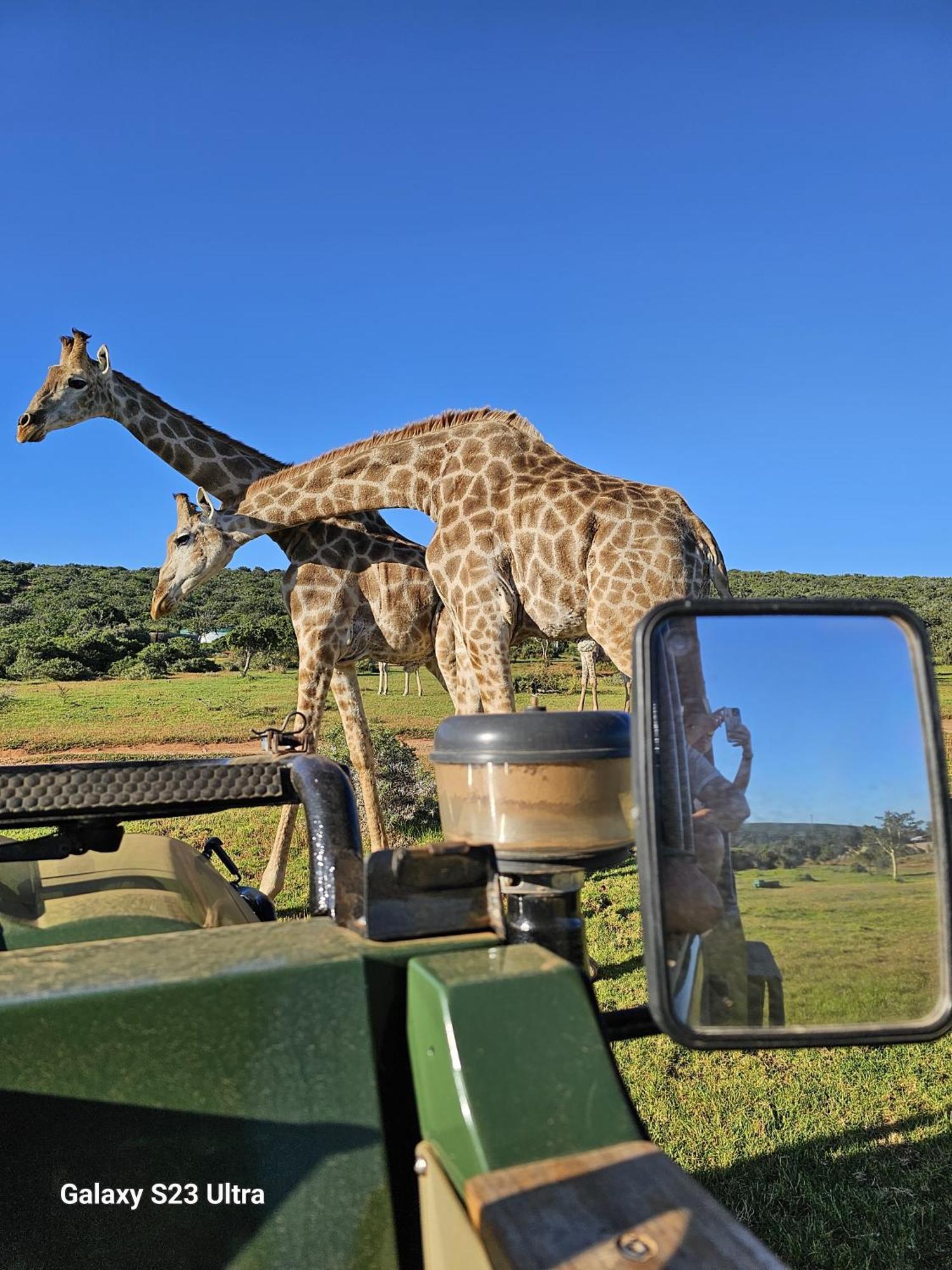 Valley Bushveld Country Lodge أدو المظهر الخارجي الصورة
