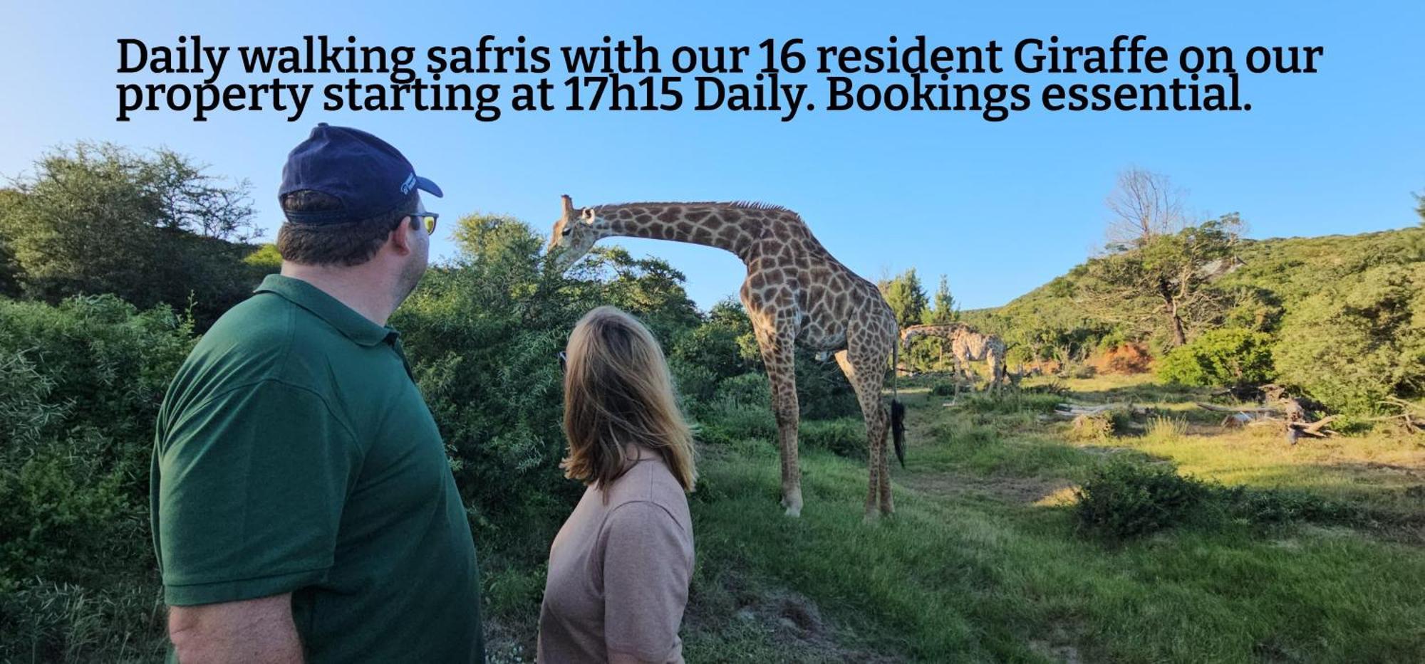 Valley Bushveld Country Lodge أدو المظهر الخارجي الصورة