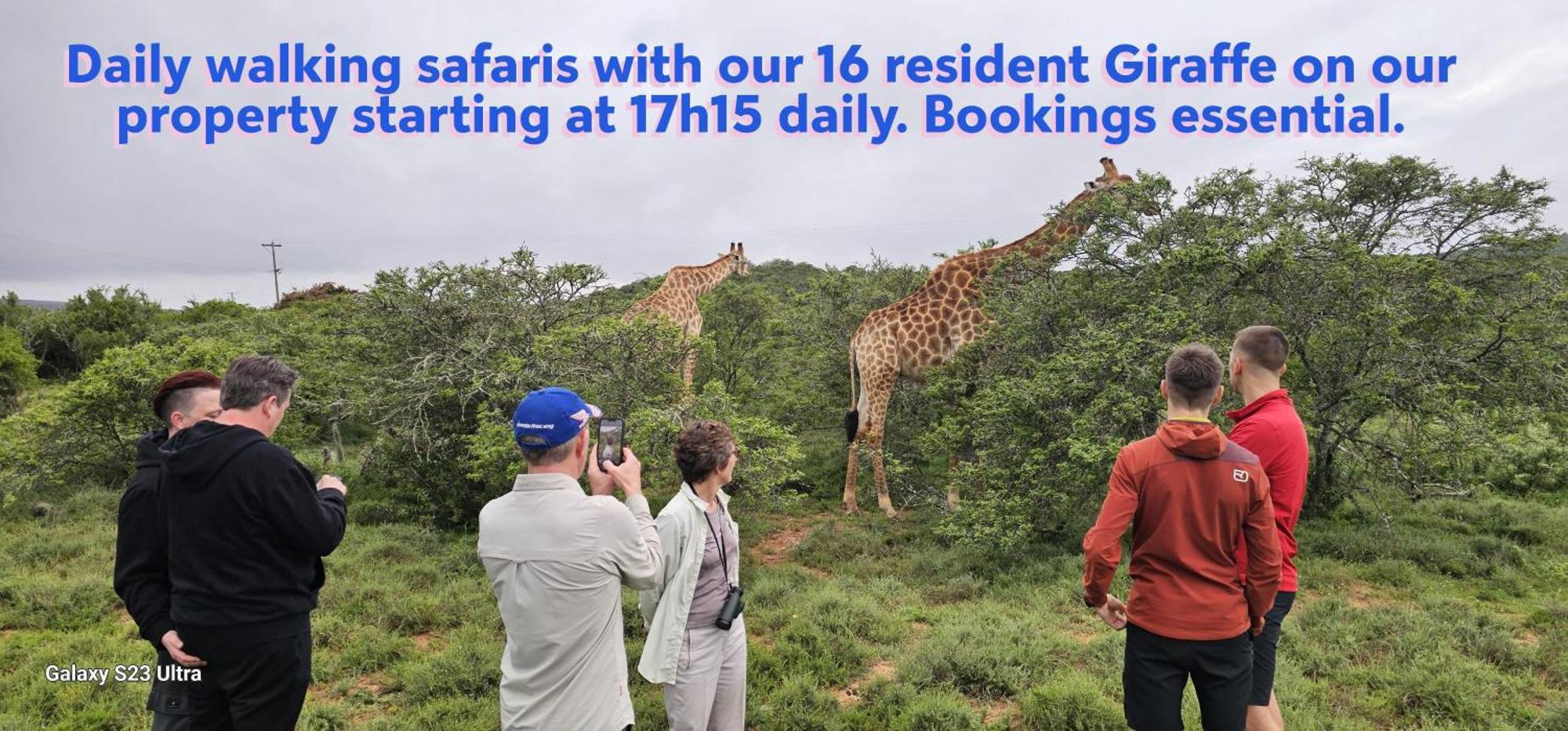 Valley Bushveld Country Lodge أدو المظهر الخارجي الصورة