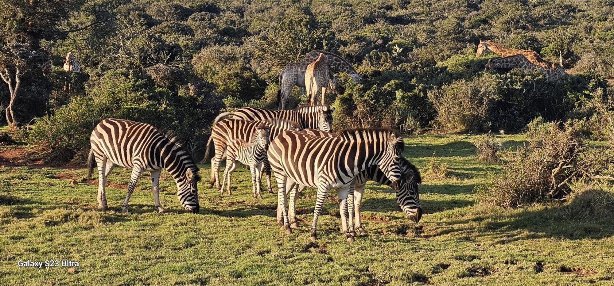 Valley Bushveld Country Lodge أدو المظهر الخارجي الصورة